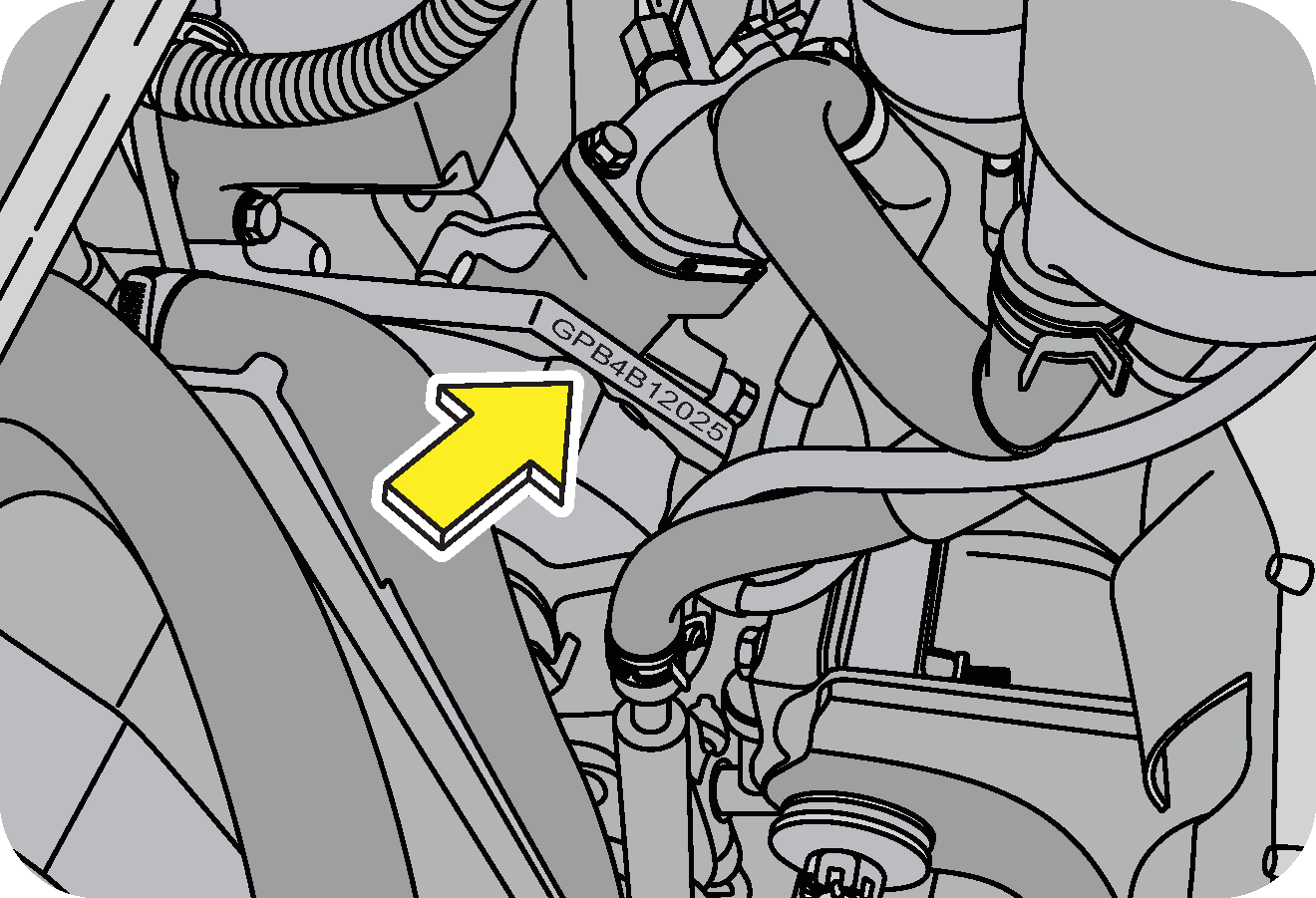 Vehicle Identification Number