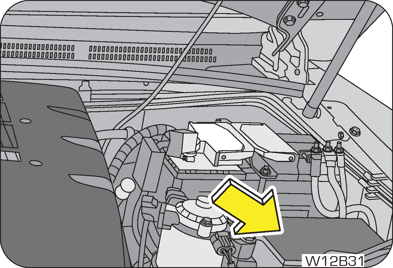 Fuse Box