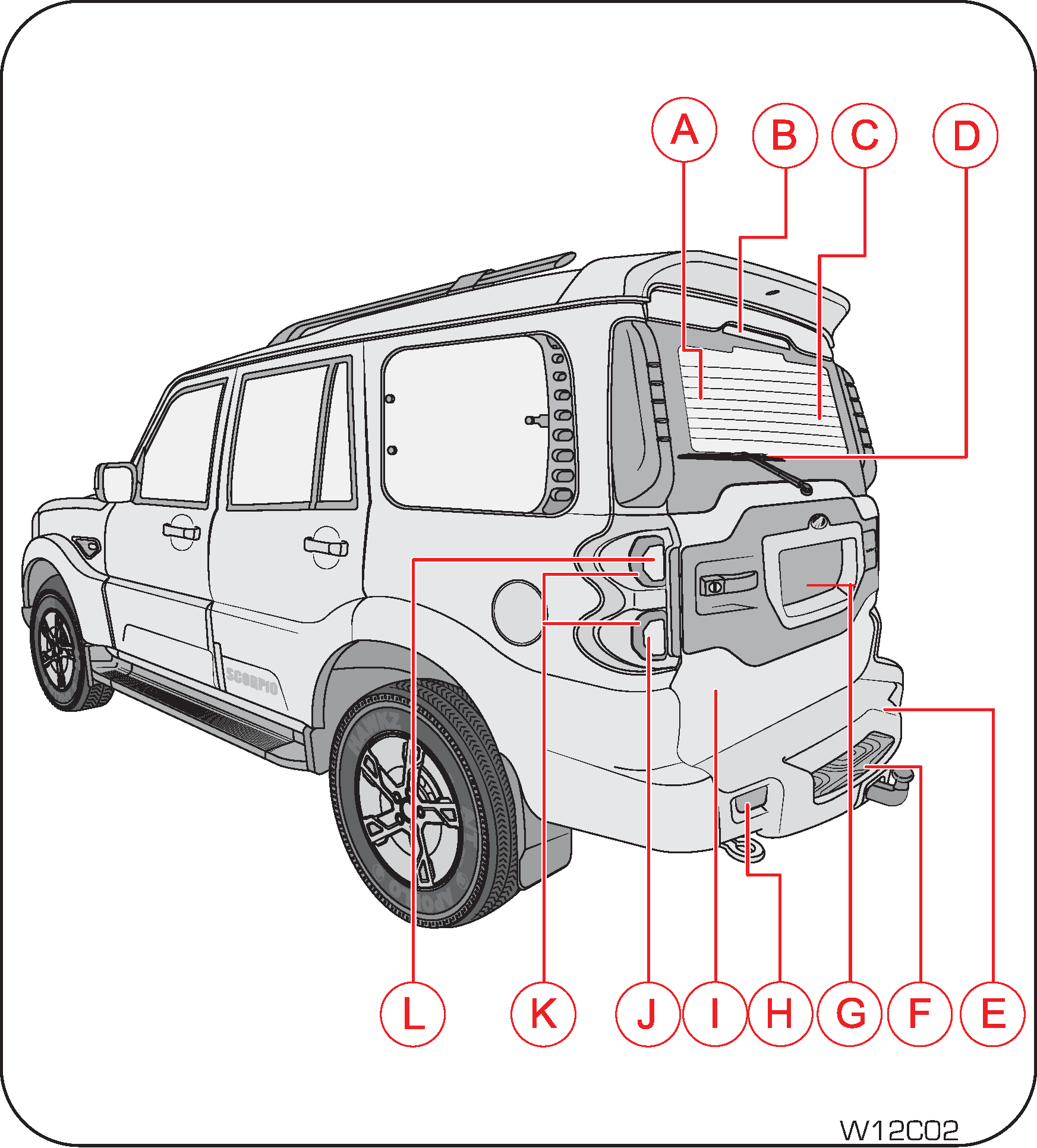 Rear Overview
