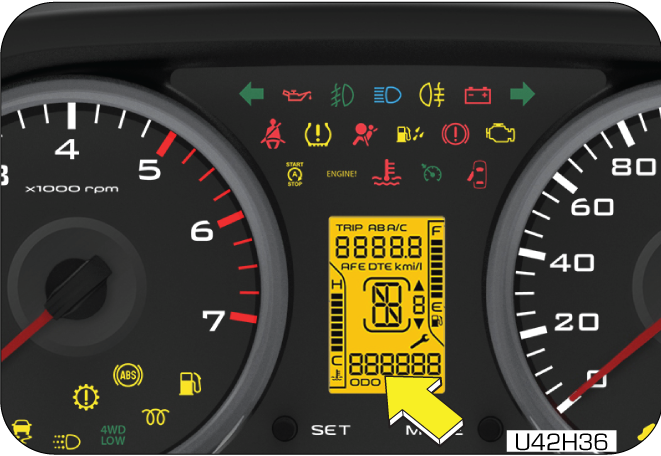 tripmeter