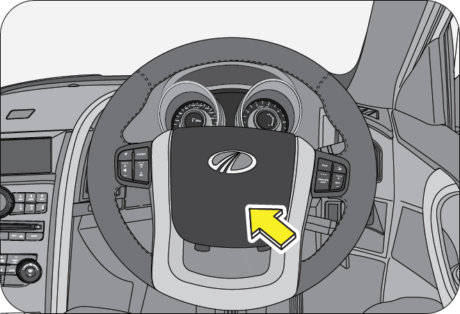 interior mirror